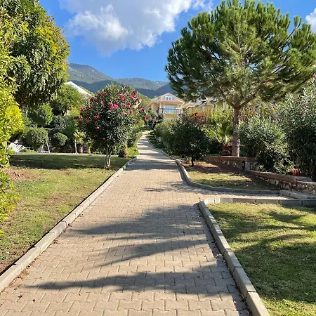 Apartamento Orka V1 *