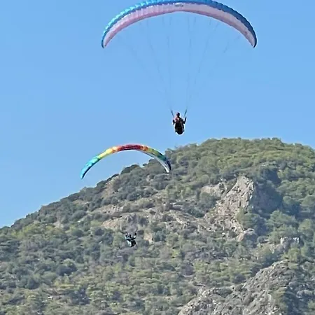 Apartamento Orka V1