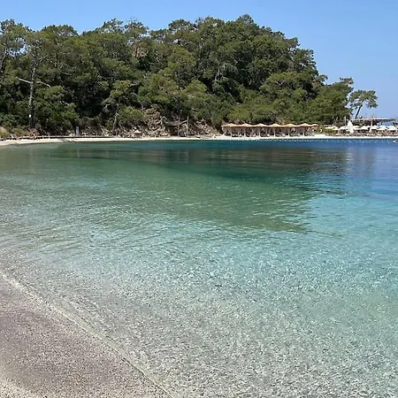 Apartamento Orka V1