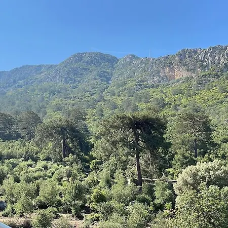 Orka V1 Ölüdeniz