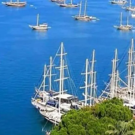 Orka V1 Ölüdeniz